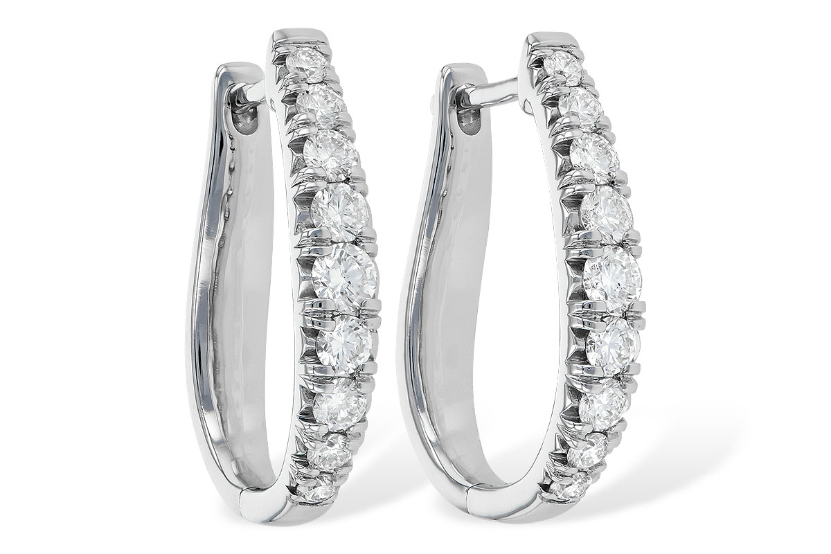 B226-57889: EARR 1.00 TW