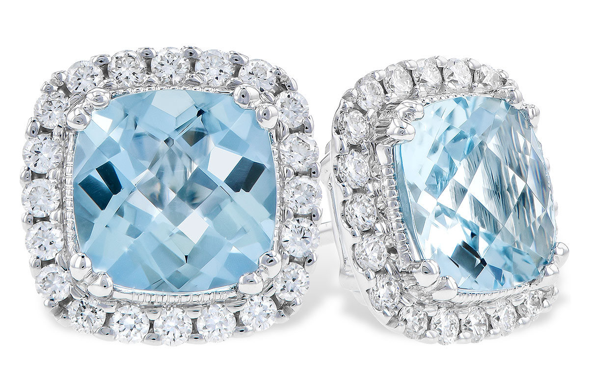 B310-18744: EARR 1.53 AQUA 1.78 TGW (6MM AQUA)