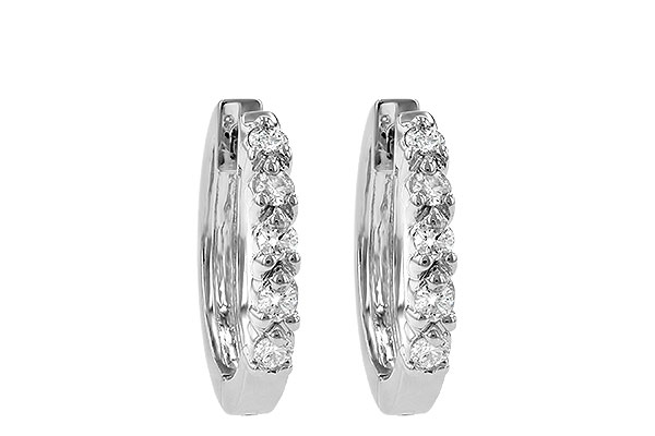 C037-48744: EARRINGS .25 TW