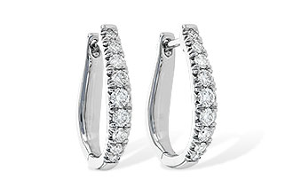 D226-57889: EARR .50 TW