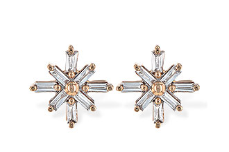 D226-59644: EARR .22 TW BAGUETTES