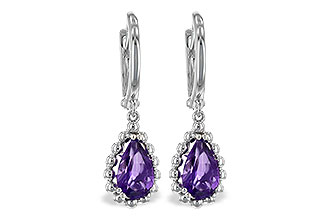 H225-67889: EARR AMY 1.40 TW